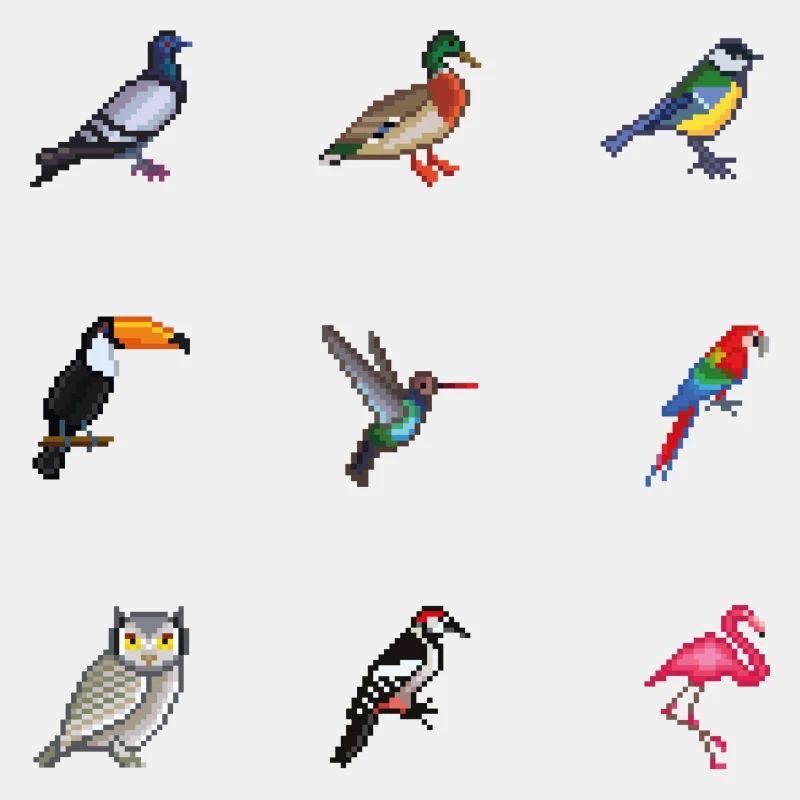 Vögel