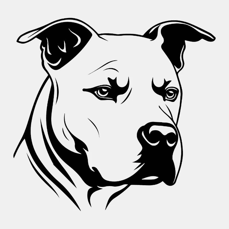 Pitbull