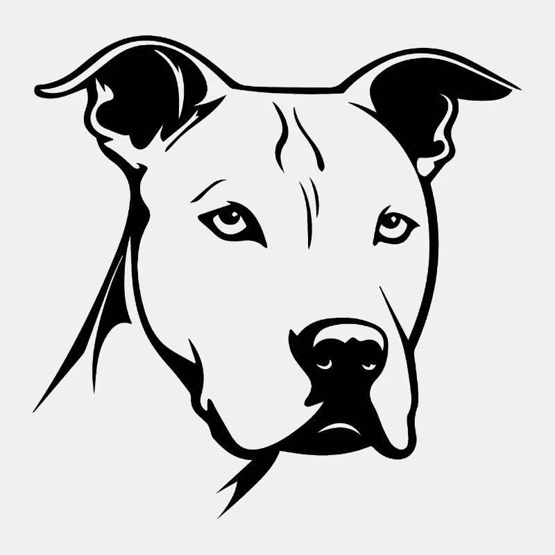 Pitbull