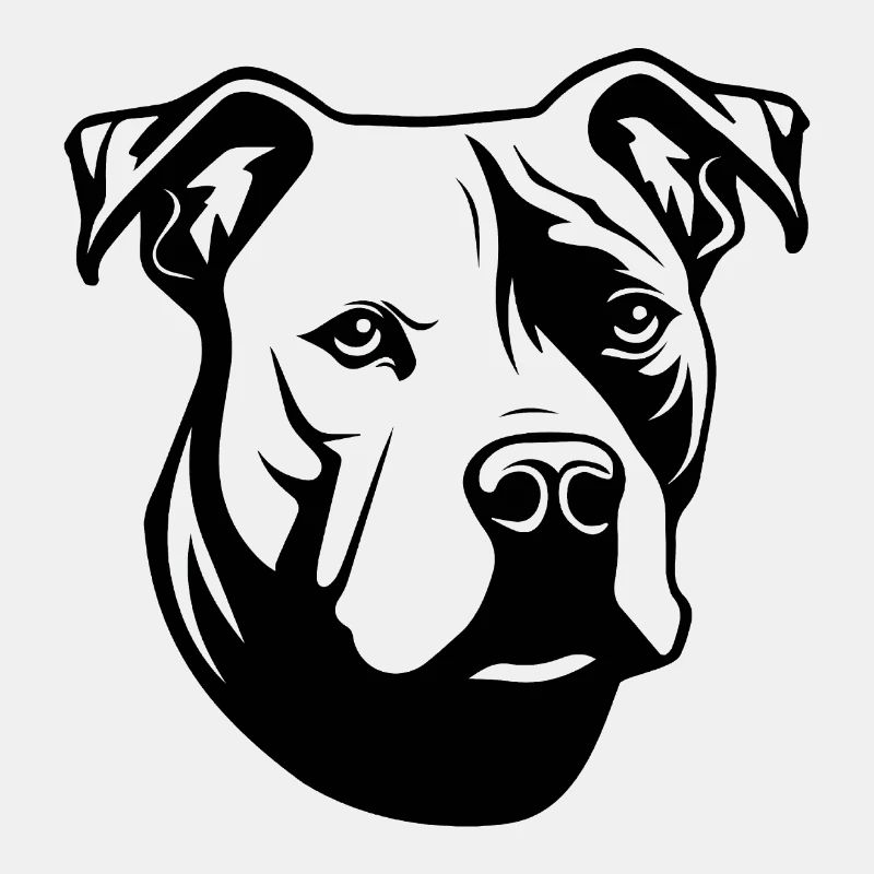 Pitbull