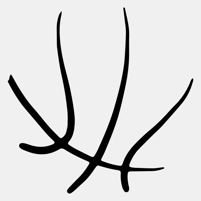 Basketball 32