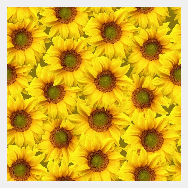 Flowerpower mit Sonnenblumen