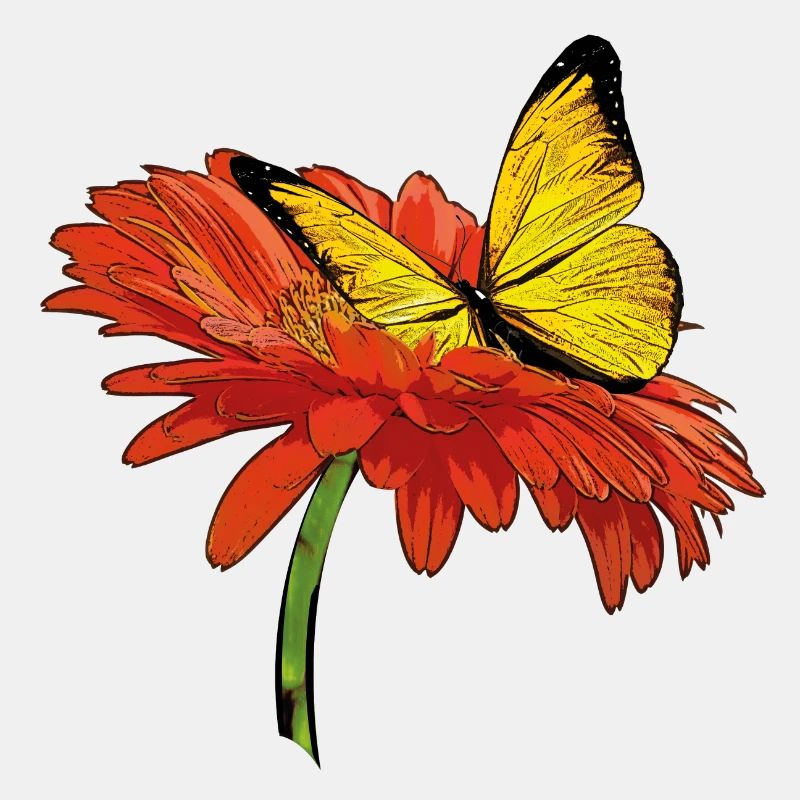 Schmetterlingauf Blumenblüte