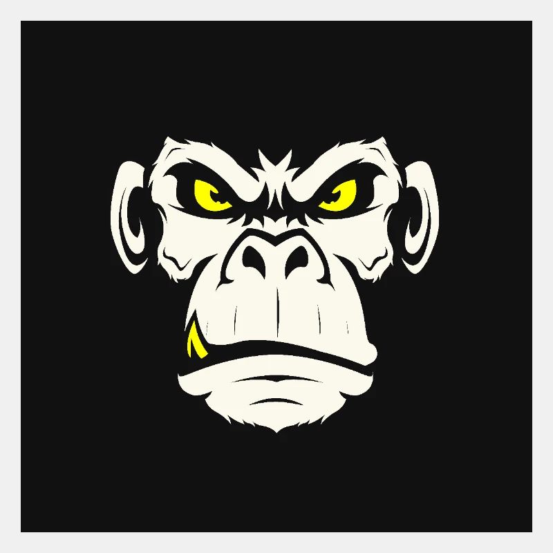 monkey 01