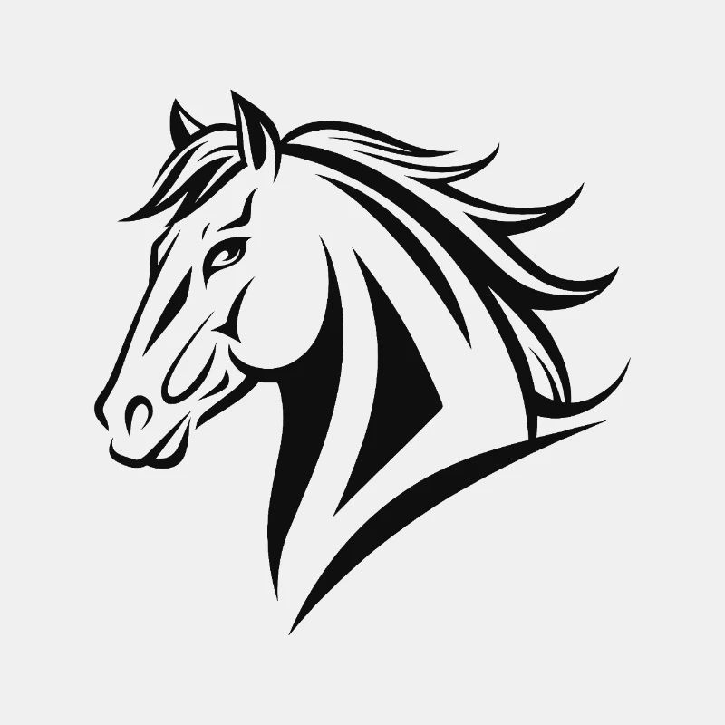 Reiten Reiten