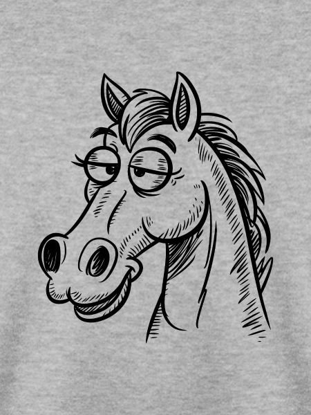 Pferd Pferde Reiten Reiter