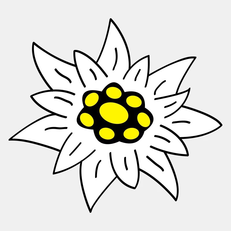 Edelweiss