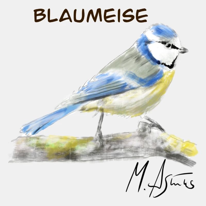 Blaumeise