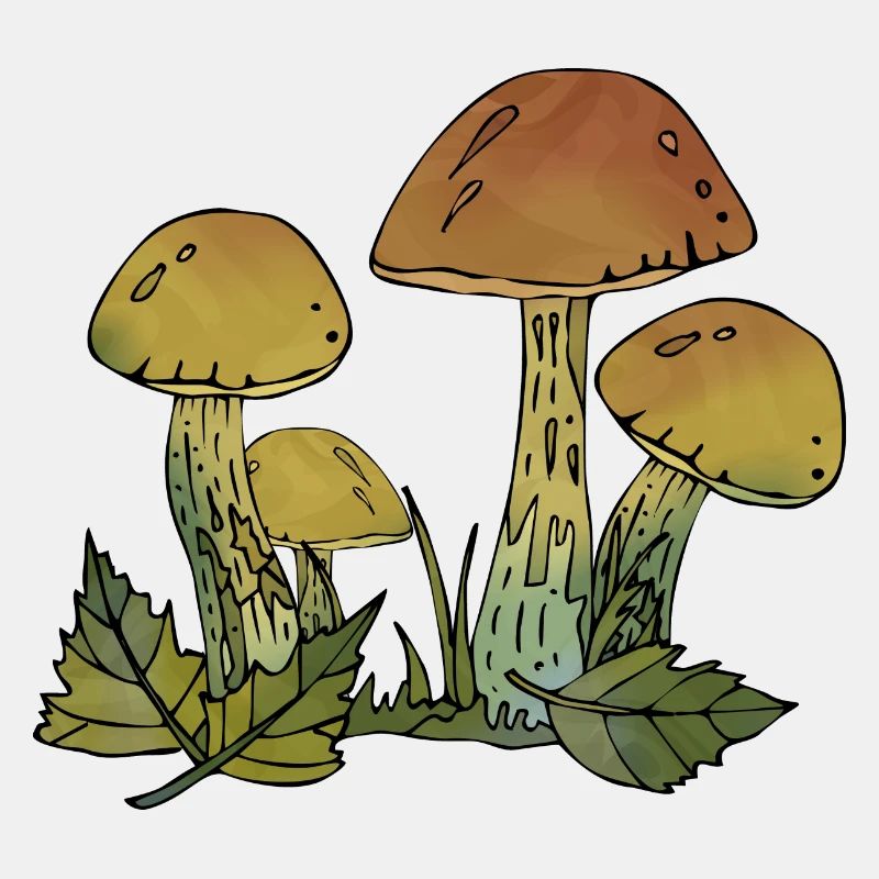 Pilze