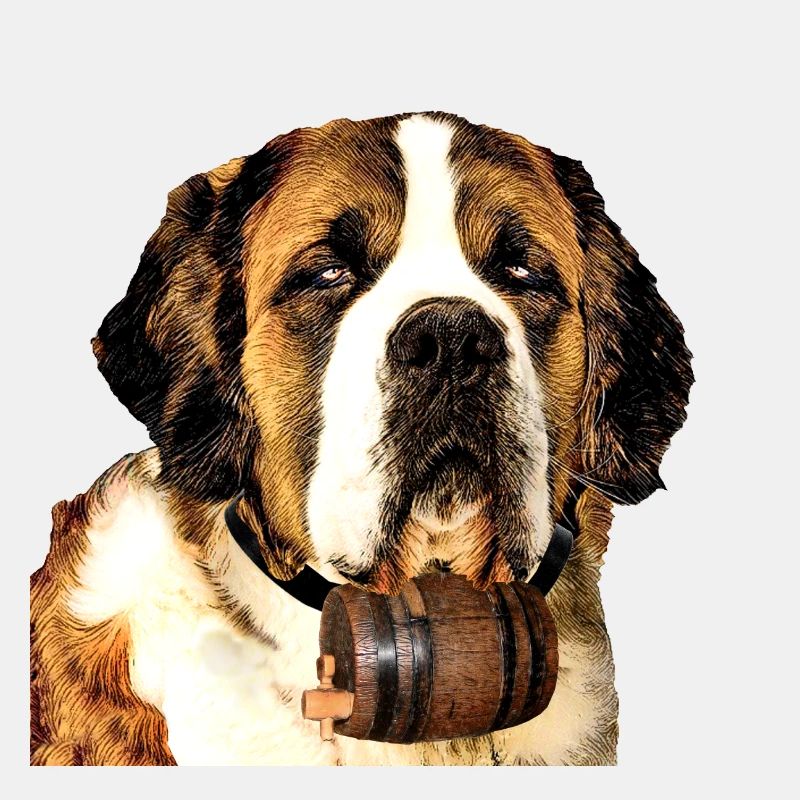 Saint Bernard 2