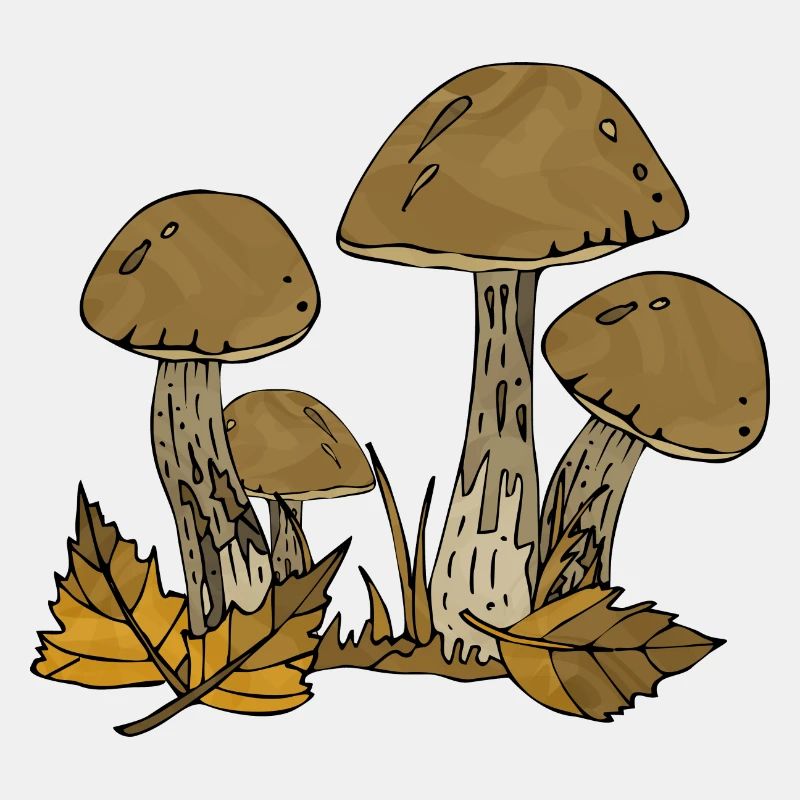 Pilze