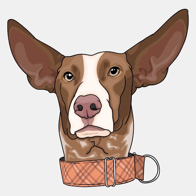 Podenco Canario