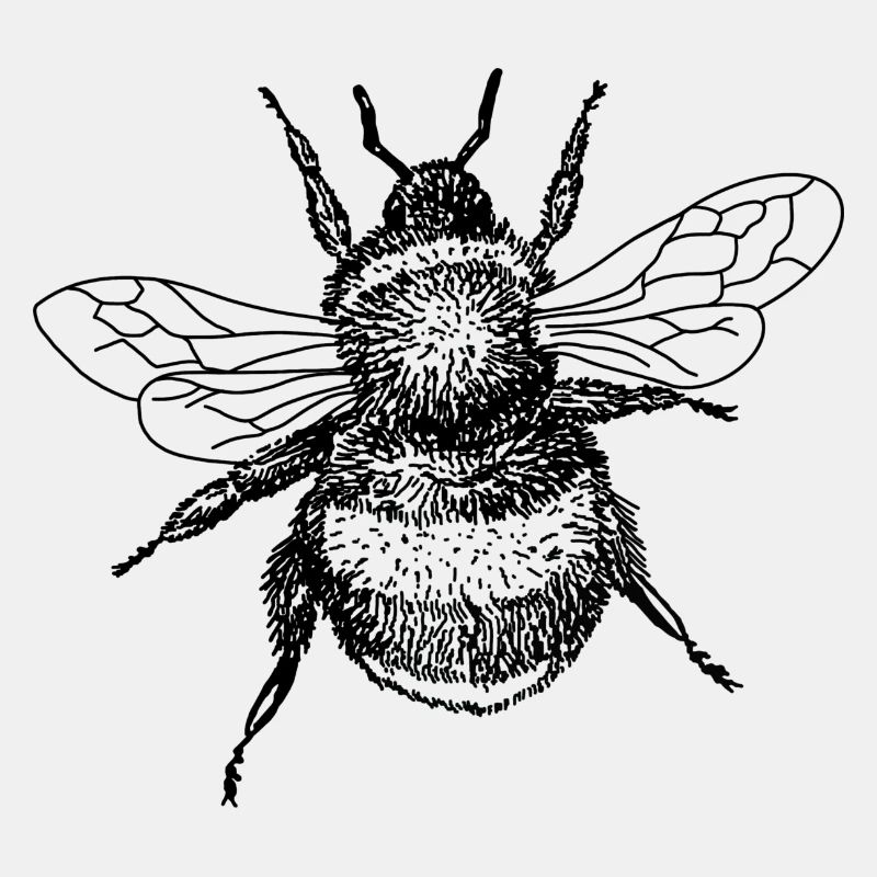 Biene