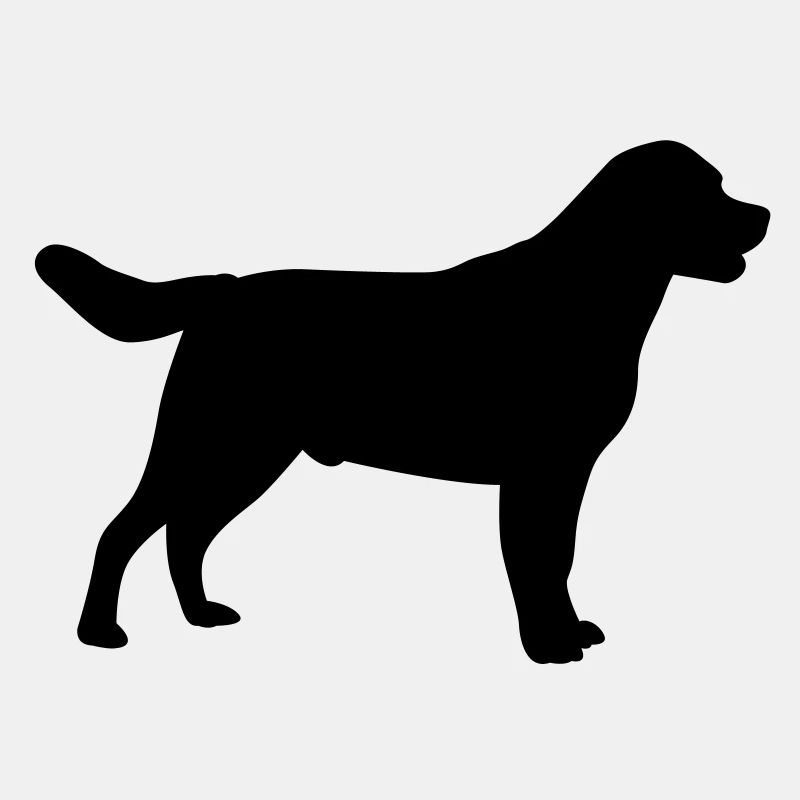 Labrador