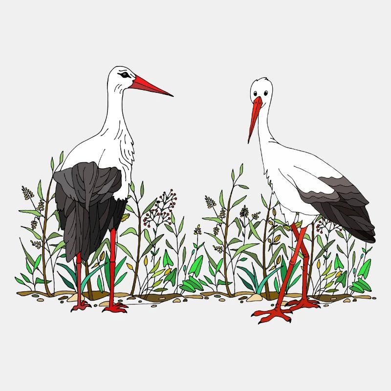 Storks