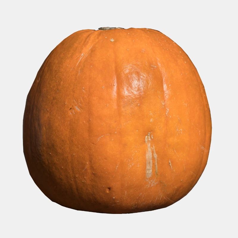 Kürbis