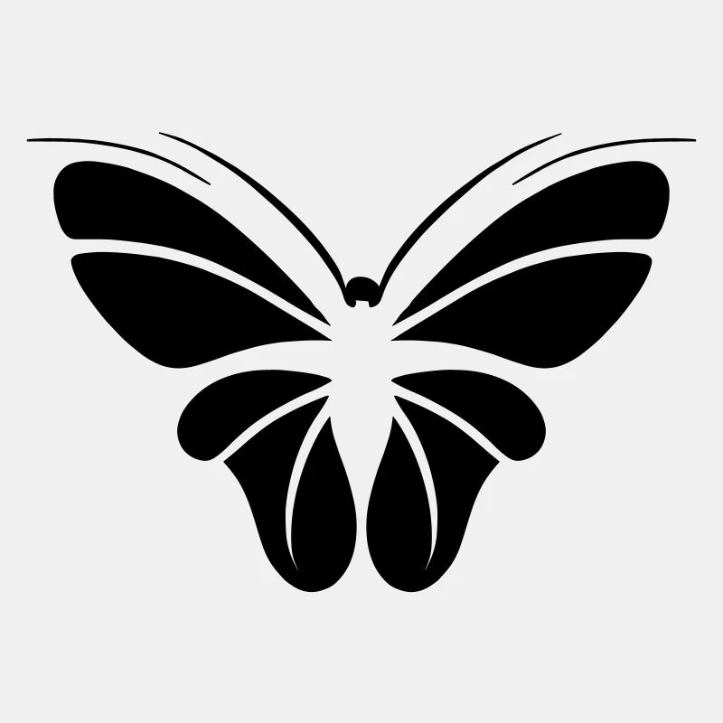 butterfly