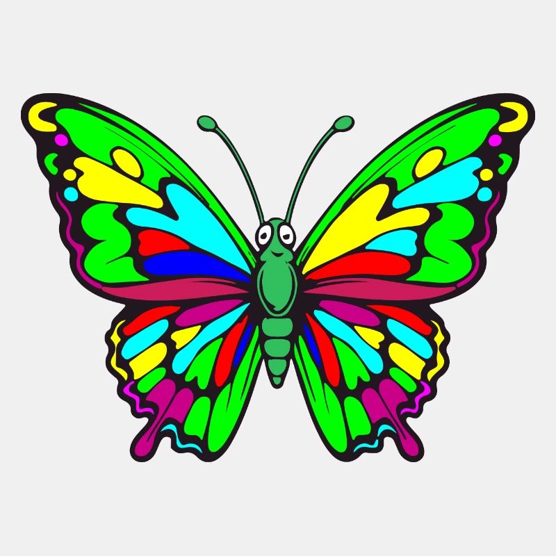 butterfly