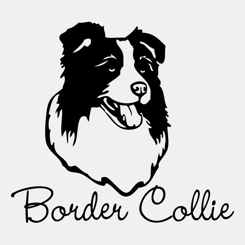 bordercollie © - www.dog-power.nl