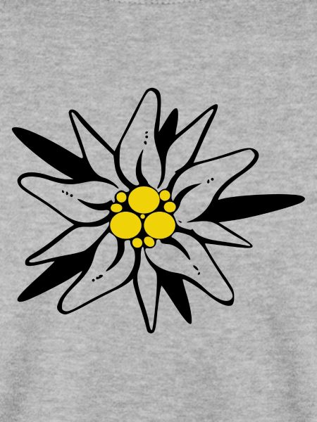Edelweiss Blume Schwarz gelb
