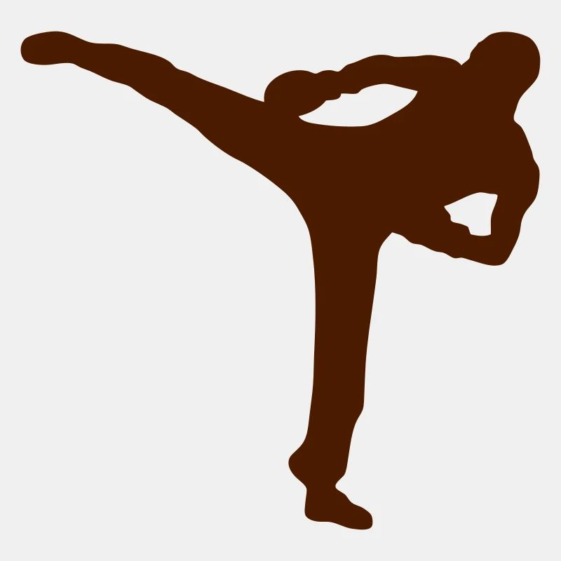 Boxe französisch savate