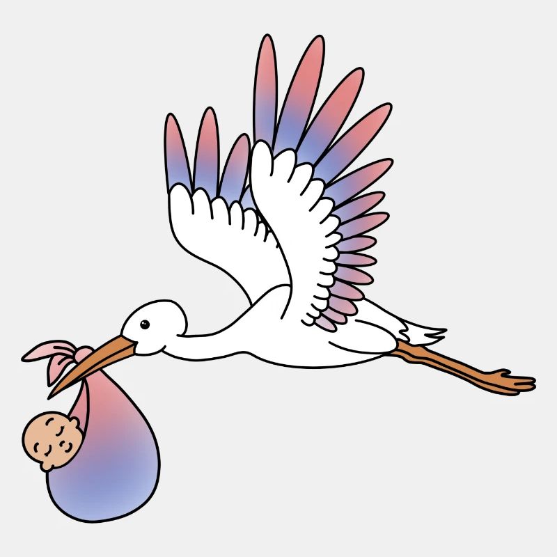 Storch