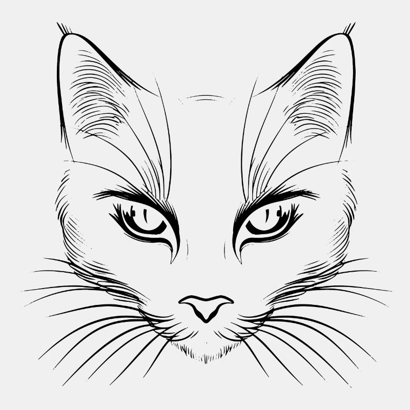 Katze, Katzenmotiv, Katzengesicht