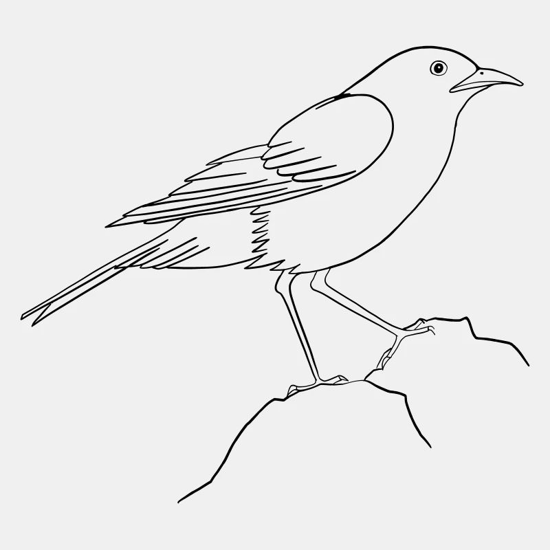 Tag des Vogels