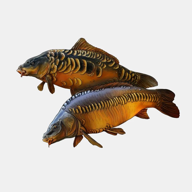 Karpfenduo