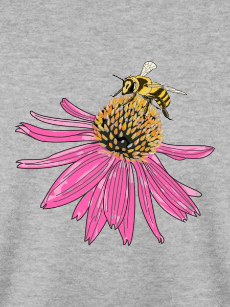 Echinacea, Sonnenhut, Biene