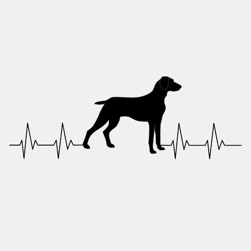 Weimaraner2