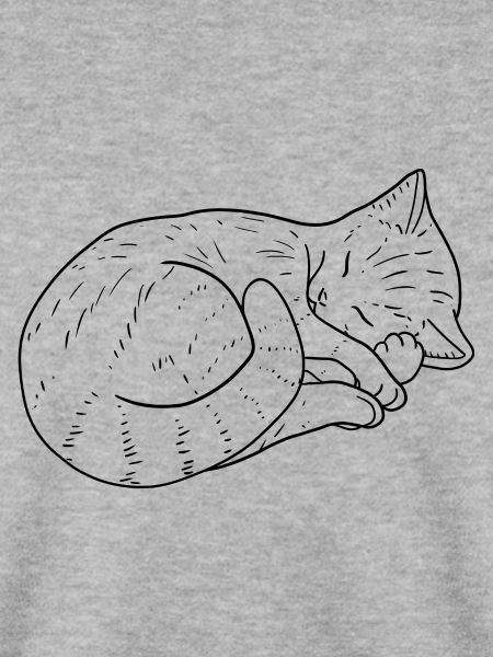 Cat drawing