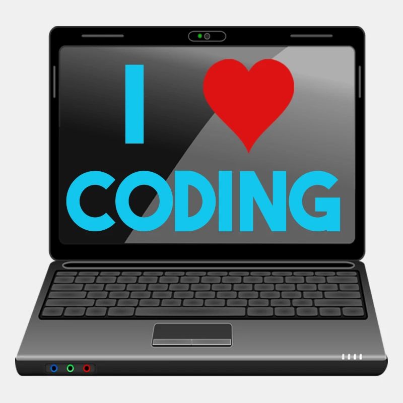 Programmation, programmeurs, informaticiens