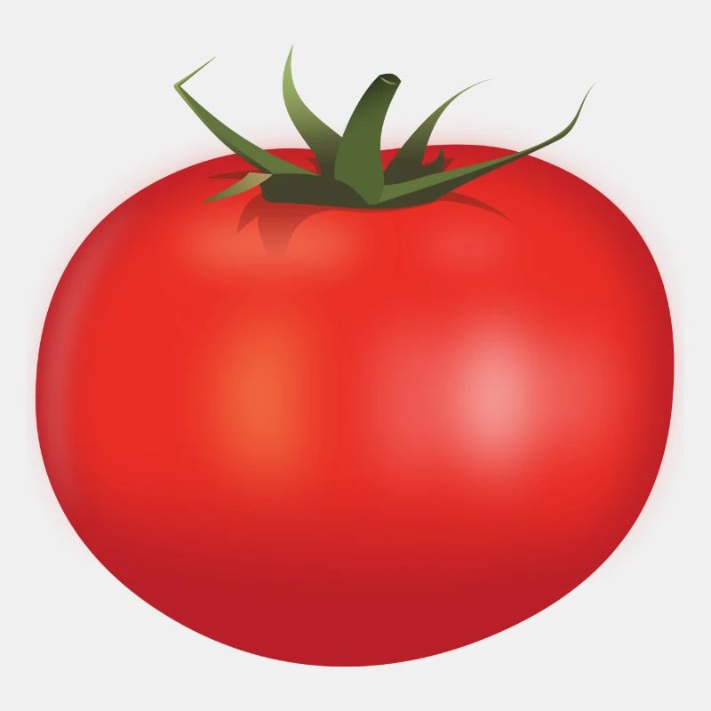 Tomate