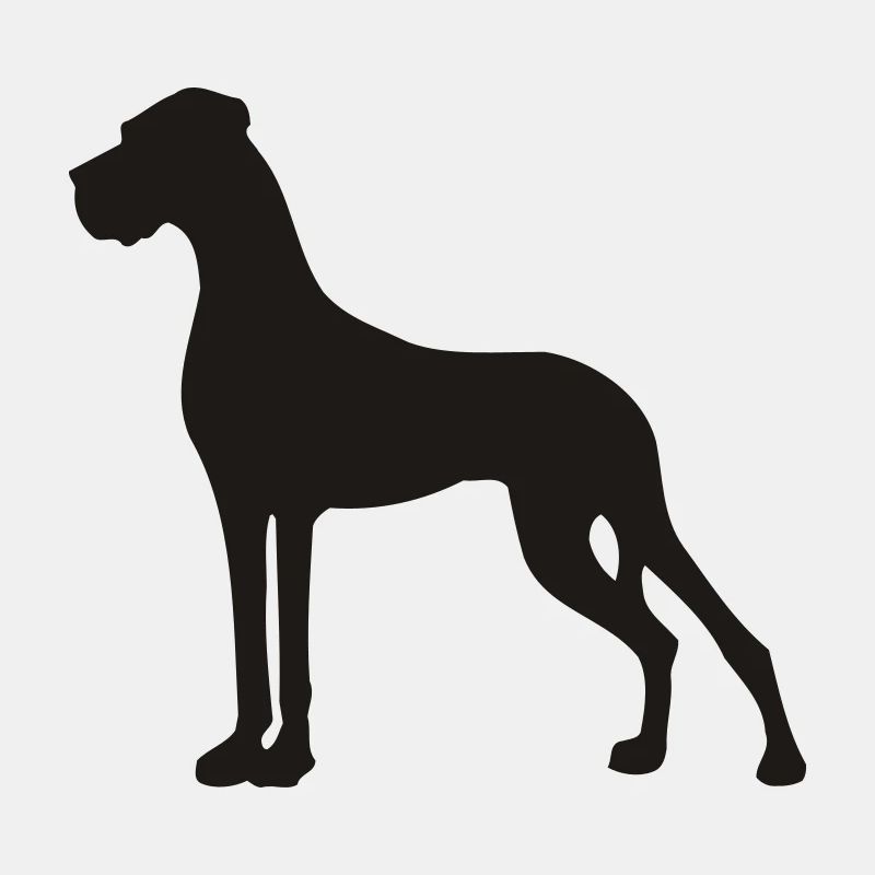 Smallest Great Dane in the state