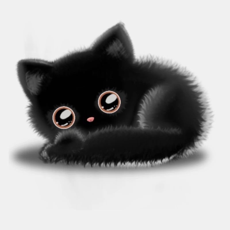 Schwarze Katze 🐈‍⬛