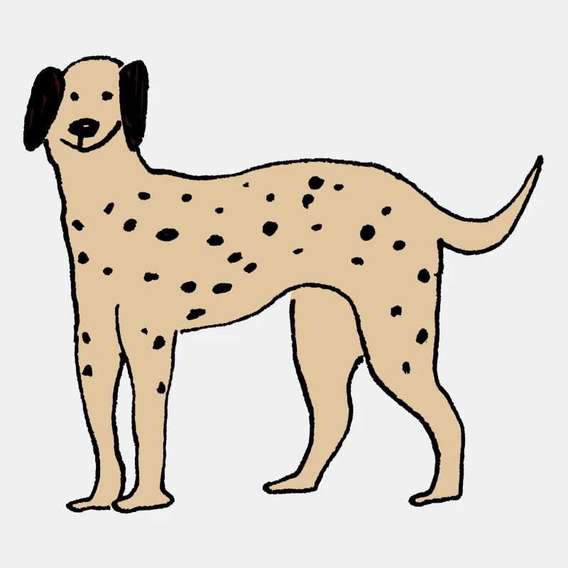 Dalmatiner