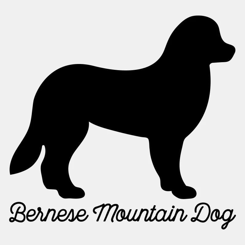Bouvier bernois