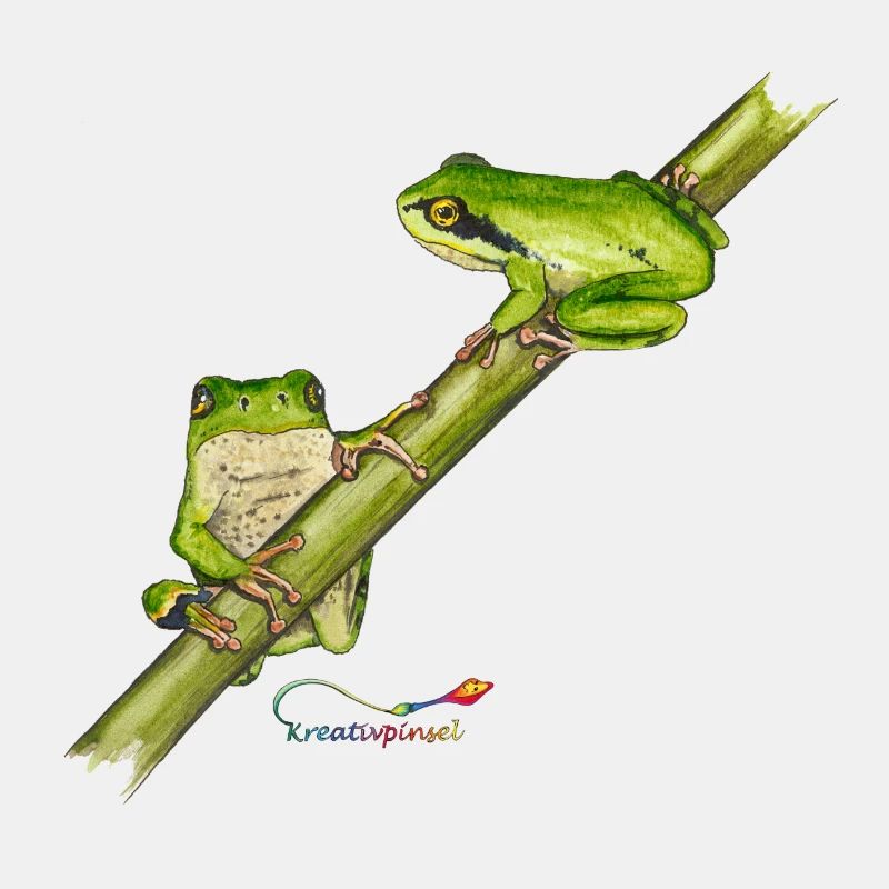 Tree frog