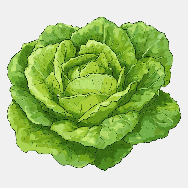 Salat