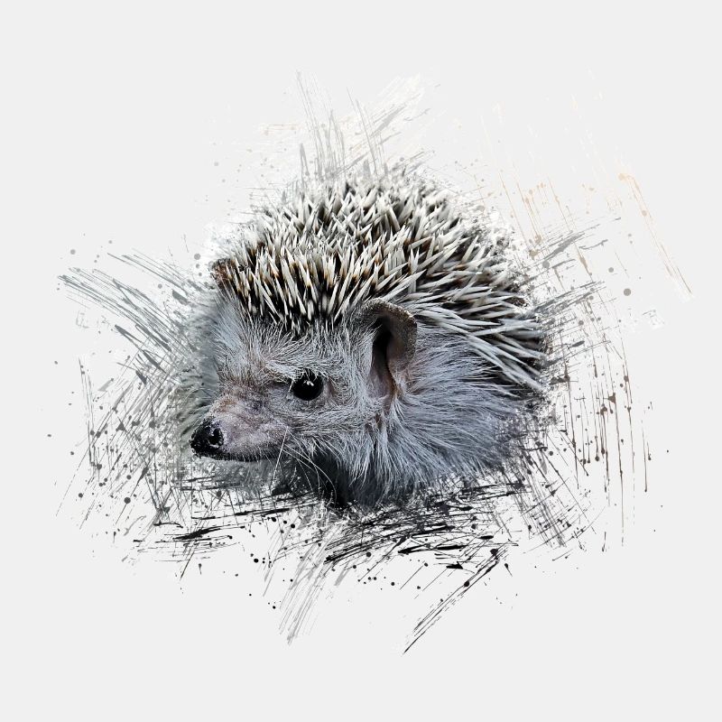 Igel