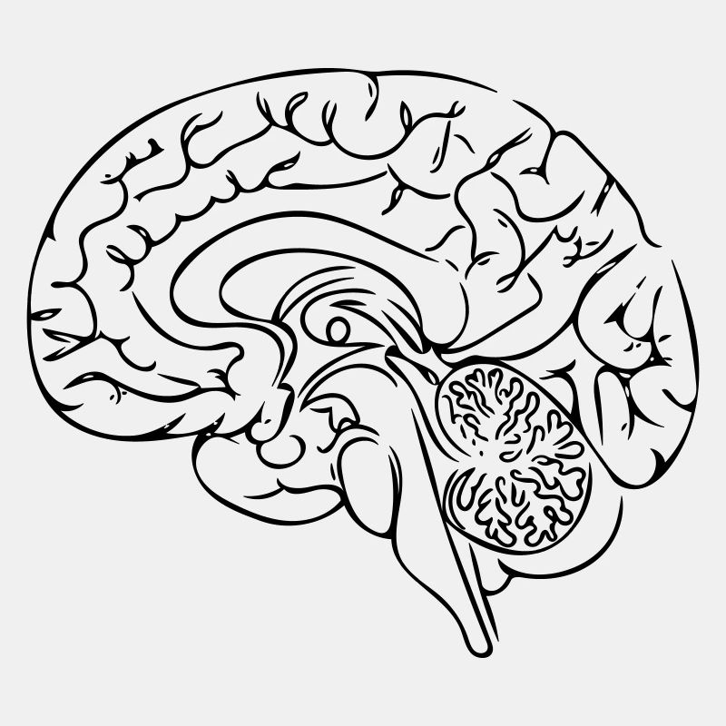 Brain Line Art - Minimalist