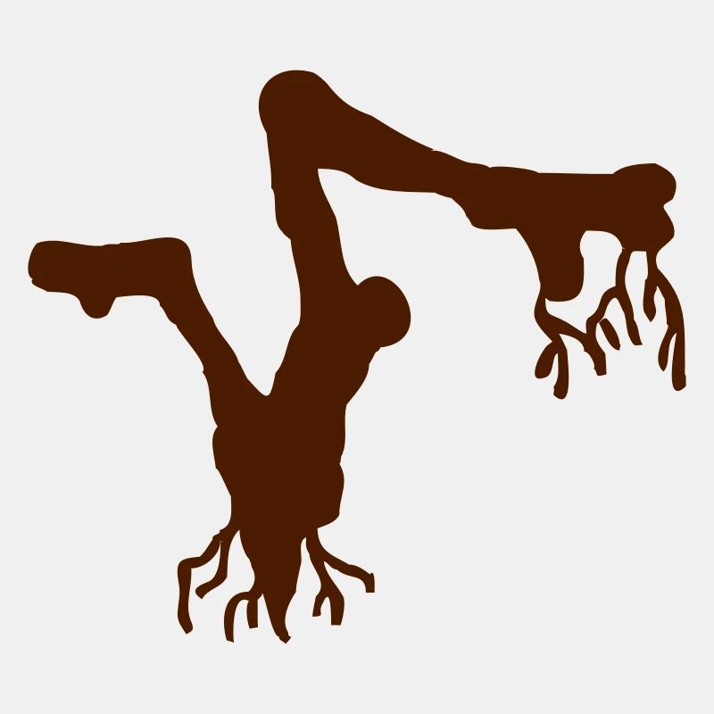 Root