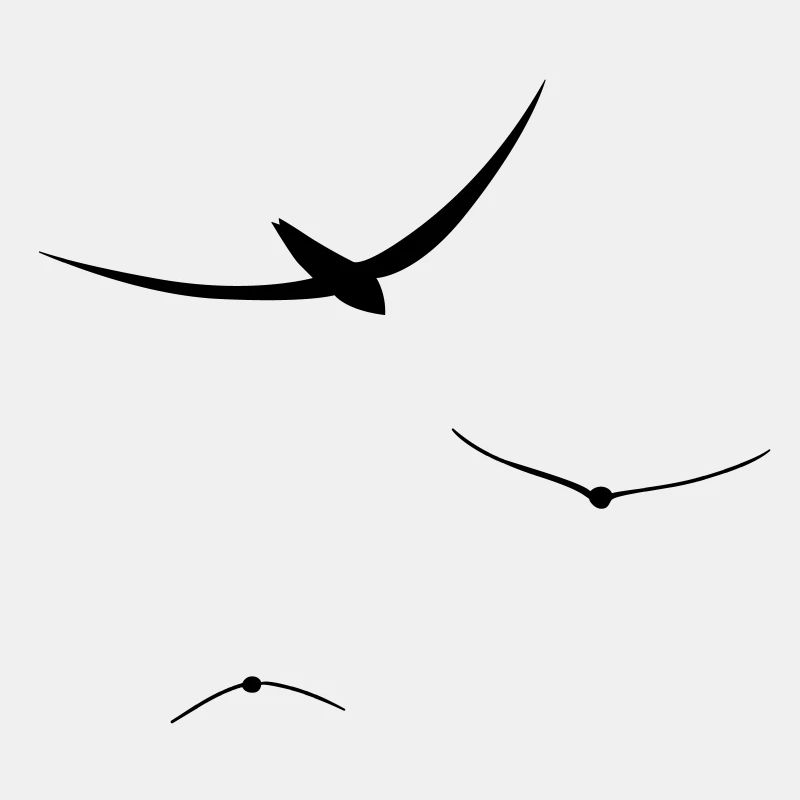 oiseaux vol libre