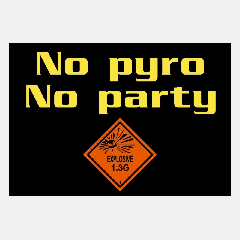 Keine Pyro keine Party