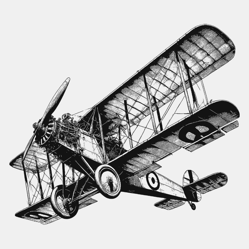 Doppeldecker Flugzeug