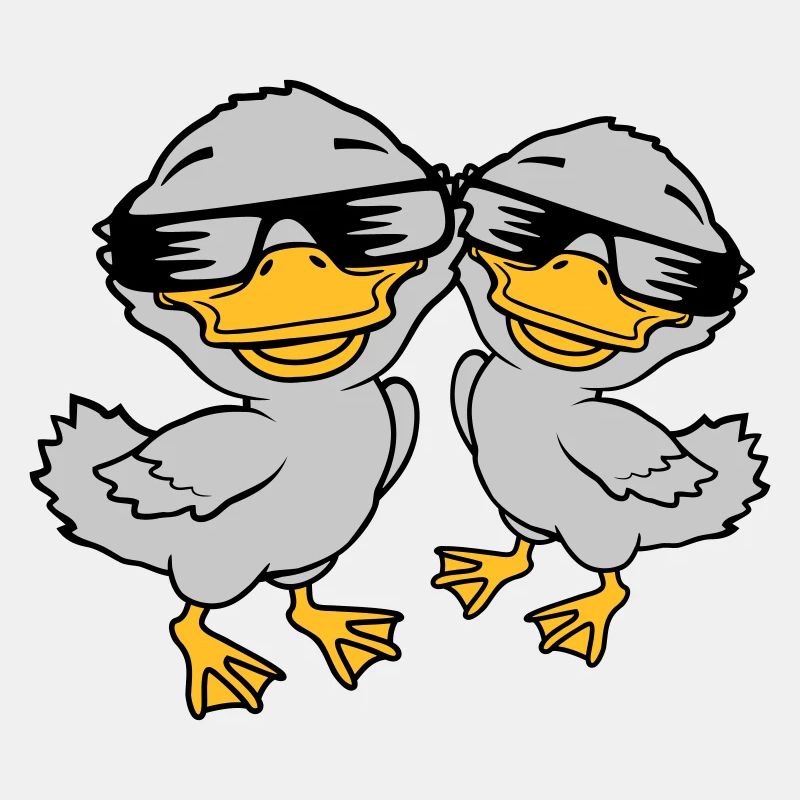 2 lunettes de soleil Cool Duckling