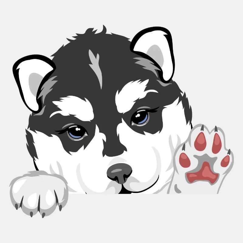 Willkommener lugender Husky-Welpe