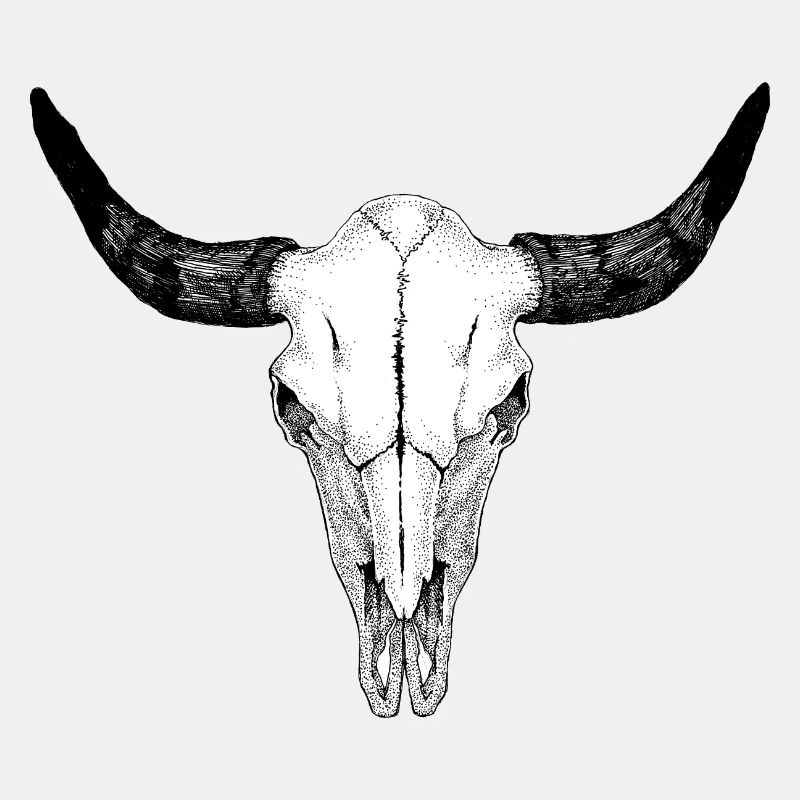 Crâne de buffle
