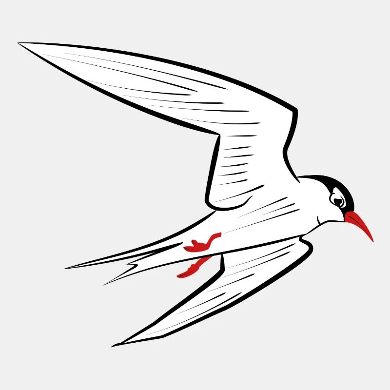 Tern